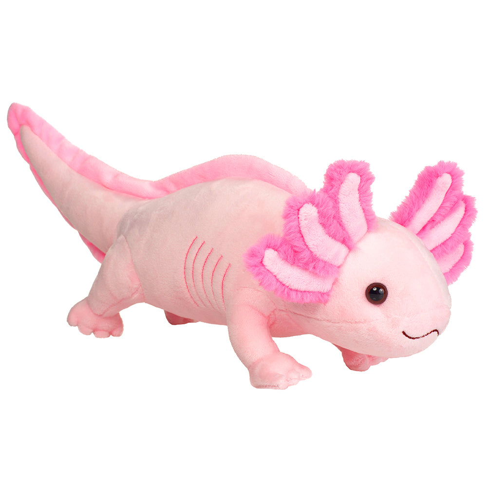 Axolotl