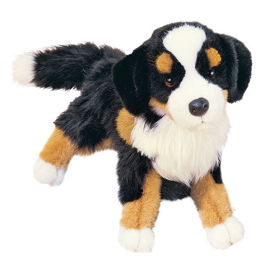Det här är Berner sennenhunden Trevor från Douglas Cuddle Toys. Pälsen är mestadels svart med bruna tecken och vita inslag, medellång och lite rufsig med mjuk glans, längre och fylligare på bröstet och svansen. Nosen, en fläck mellan ögonen och magen är vita, öronens insida är svart. Benen är bruna med vita tassar och vita trampdynor. Ögonen är bruna och nostippen svart och rund. Han har bruna ögonbrynsfläckar och bruna fläckar på sidorna, står på fyra ben och har en mild, uppmärksam min.