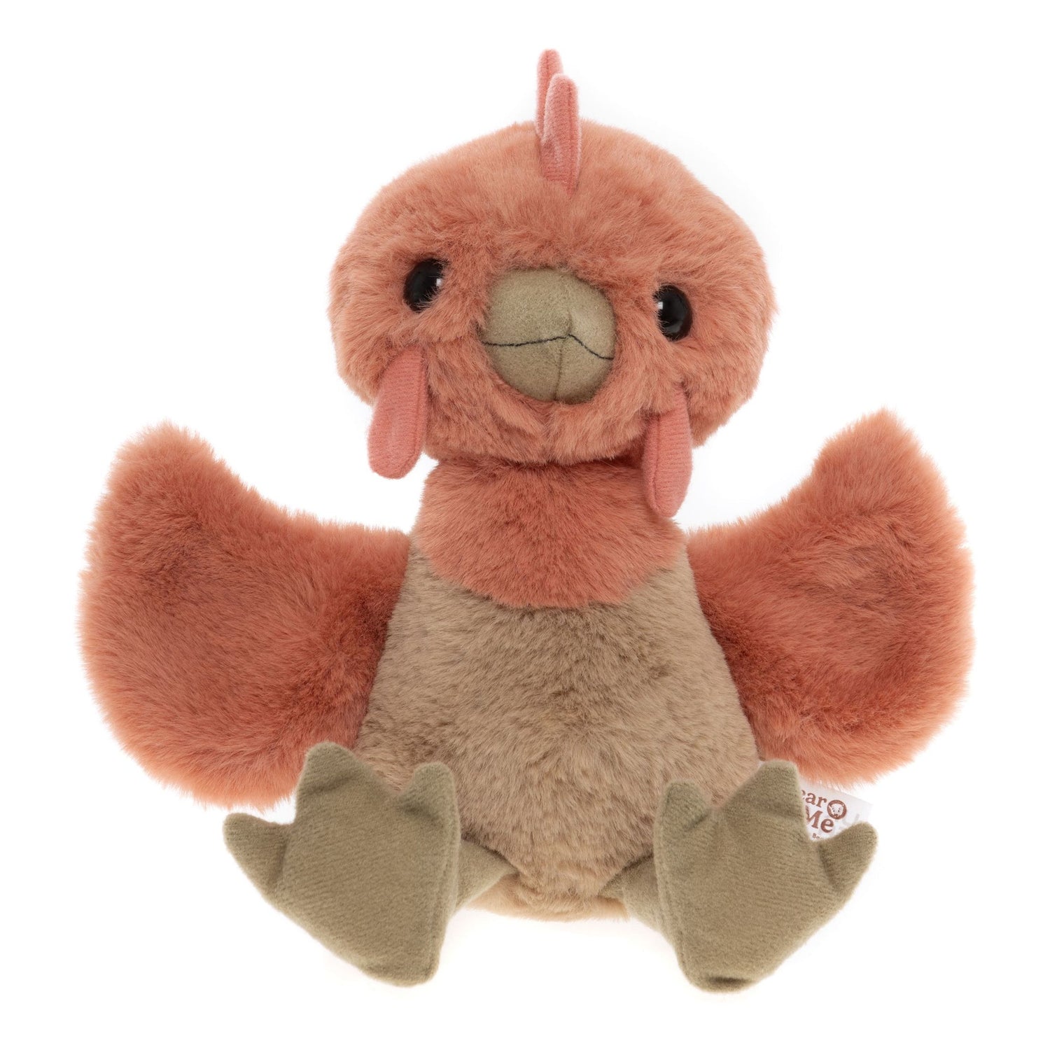 Clucky Chicken