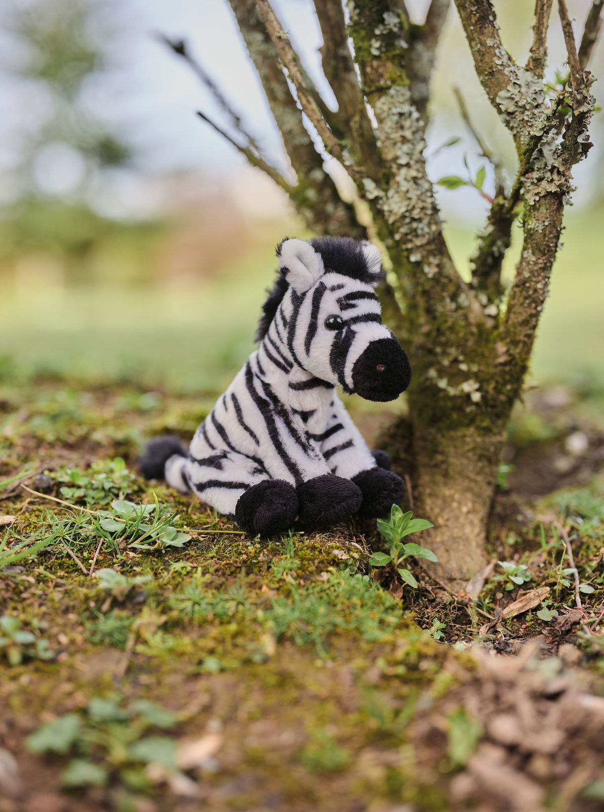 Charlie Bears Cuddle Cub Zebra