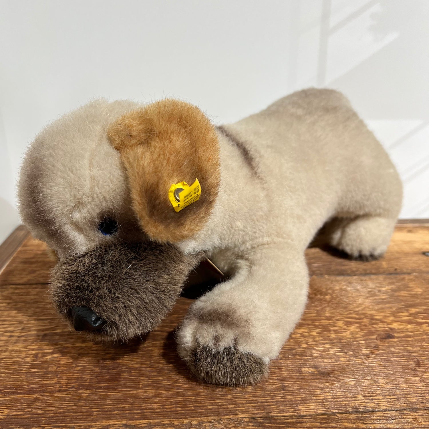 Det här är Welfo, en hund från Steiff. Handgjord och stående på alla fyra ben, med kort och tät plyschpäls som har en mjuk glans. Pälsen är övervägande beige, med tydligt brunt på öronens insida, nosen och tasspetsarna, och mörkbrunt till svart kring nosen. Nosen är brun, nosknappen svart och rundad. Magen och benen är beige. Det ena synliga ögat är blått. Inga kläder och inget i tassarna. Uttrycket är vaket och milt.
