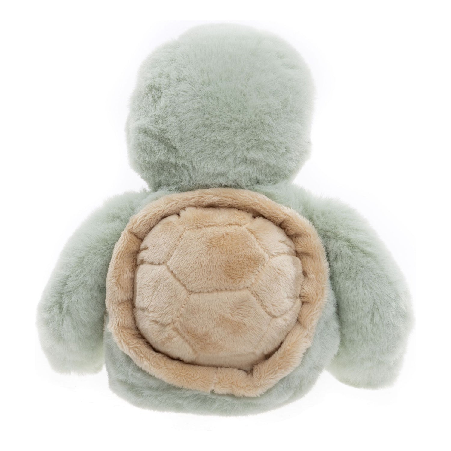 Timmy Tortoise