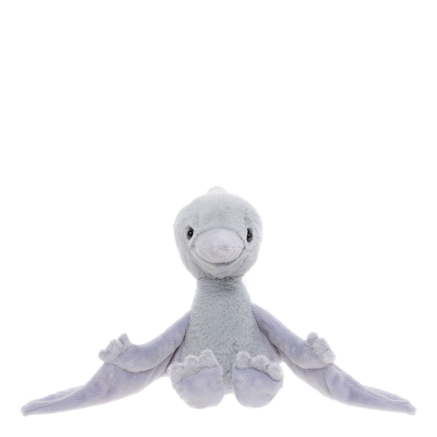 Wings Pterodactyl
