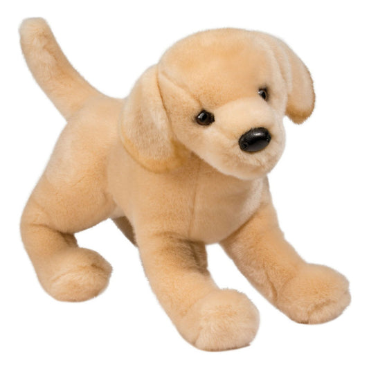 Tämä on Douglas Cuddle Toysin labradorinnoutaja Mandy. Iso koiranalle, jolla on tasaisen beige turkki: lyhyt tai keskipitkä, sileä, hillitysti kiiltävä ja keskitiheä. Kuono, korvien sisäpuoli, masu ja tassut ovat samaa beigeä, eikä kuvioita ole. Silmät ovat tummanruskeat ja pyöreät, nenä musta ja pyöreä, yläreunassa pieni harjanne. Ei vaatteita, asusteita eikä mitään tassuissa. Hän seisoo etujalat ojennettuina ja takajalat vartalon alla, ilme on lempeä ja utelias.
