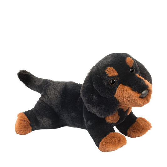 Det här är Dottie, en tax från Douglas Cuddle Toys. Hon ligger med kroppen utsträckt och benen brett isär. Pälsen är kort, tät och slät med svag glans, i svart och brunt. Brunt syns på nosen, ögonbrynsfläckarna, bröstet samt fram- och baktassarna, medan öronens insida och magen är svarta och trampdynorna verkar bruna. Ögonen är runda och mörkbruna till svarta, nosen är svart och rundad. Uttrycket i ansiktet är milt och uppmärksamt.