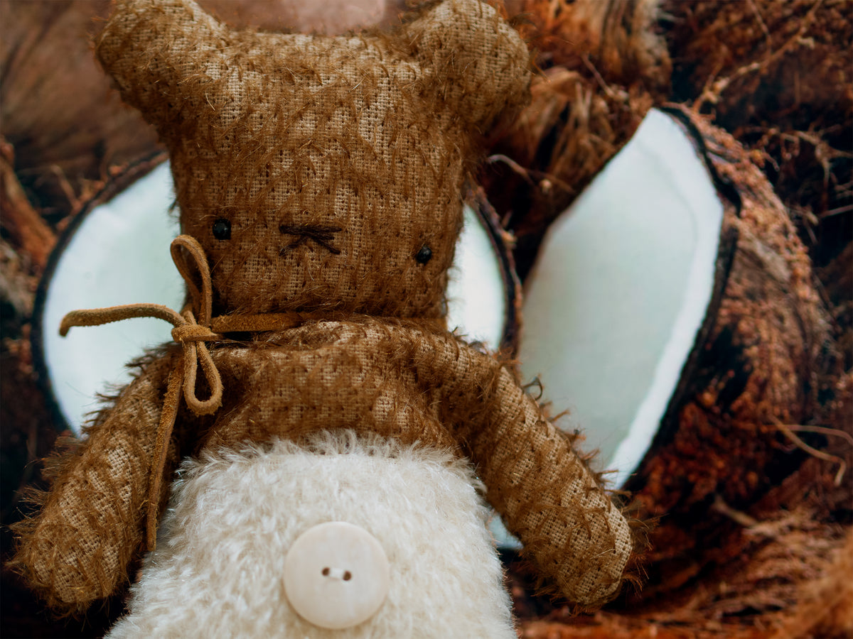 Bear Bears Kookos