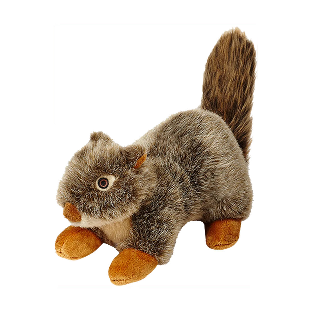 Nuts Squirrel