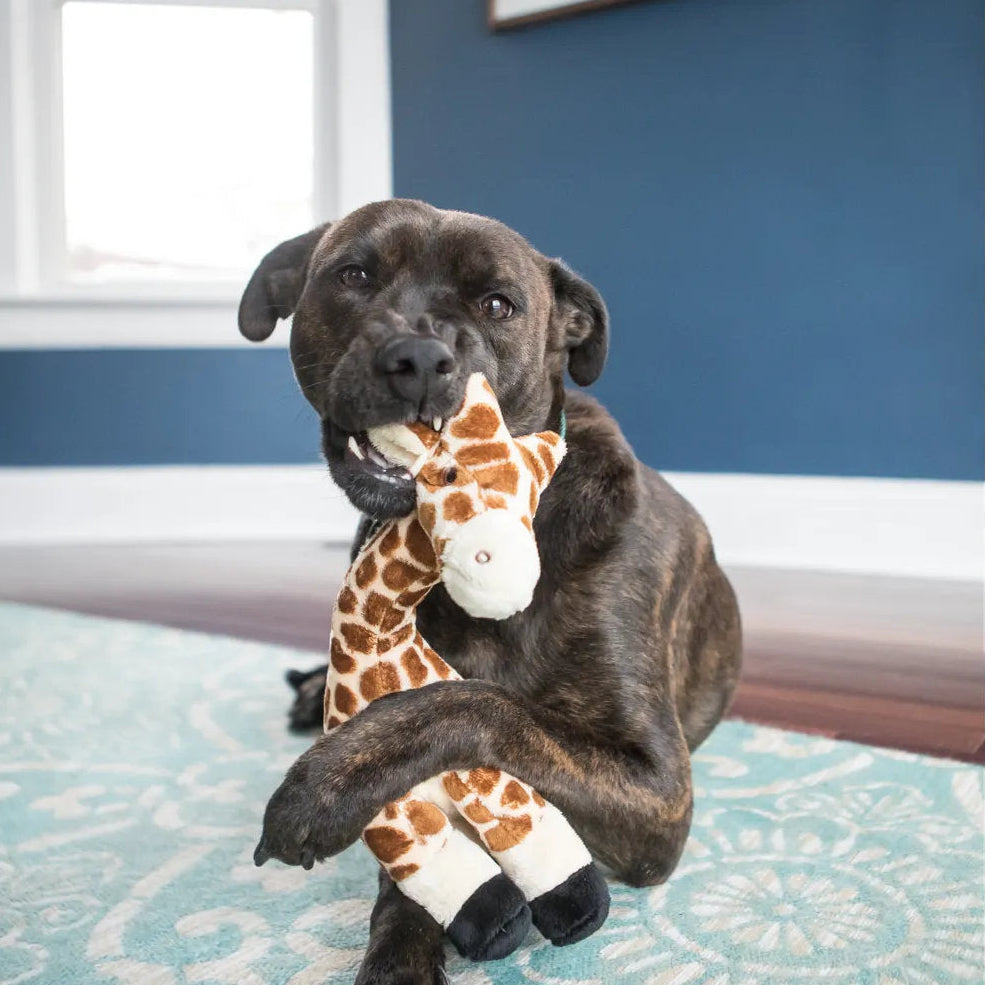 Nelly Giraffe