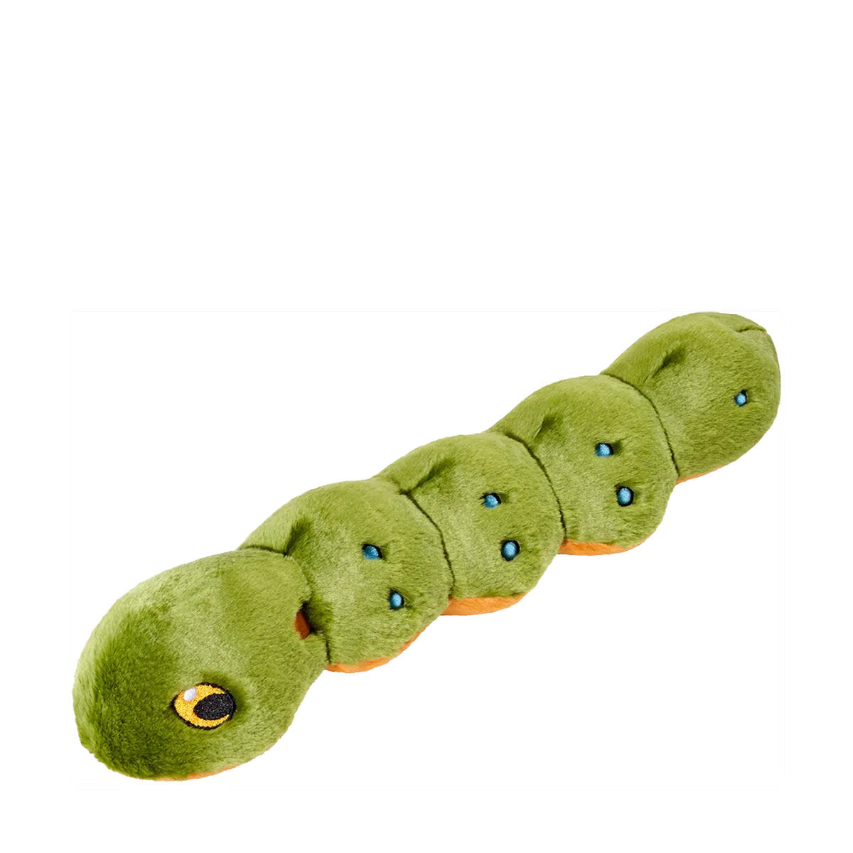 Katie Caterpillar