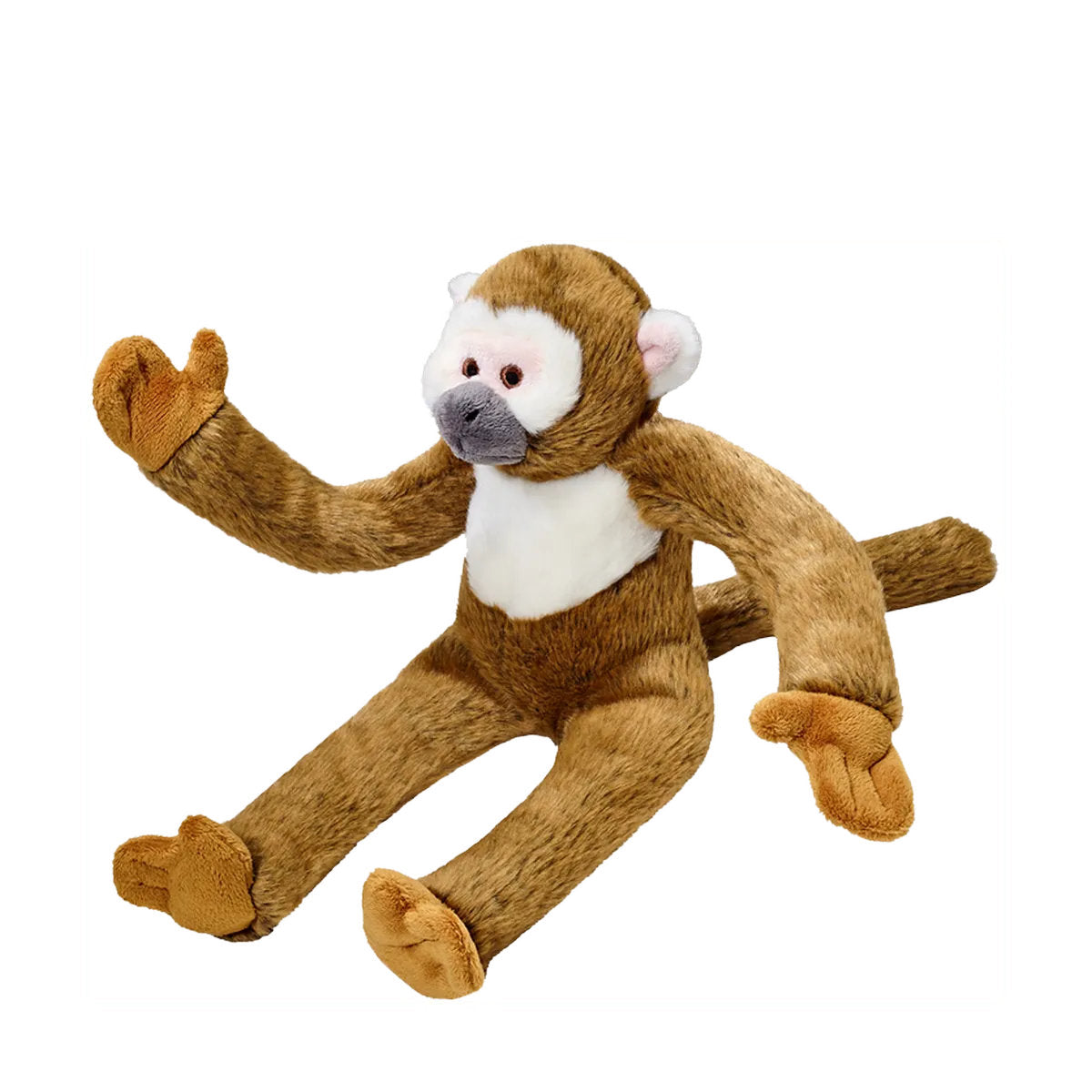 Albert Monkey