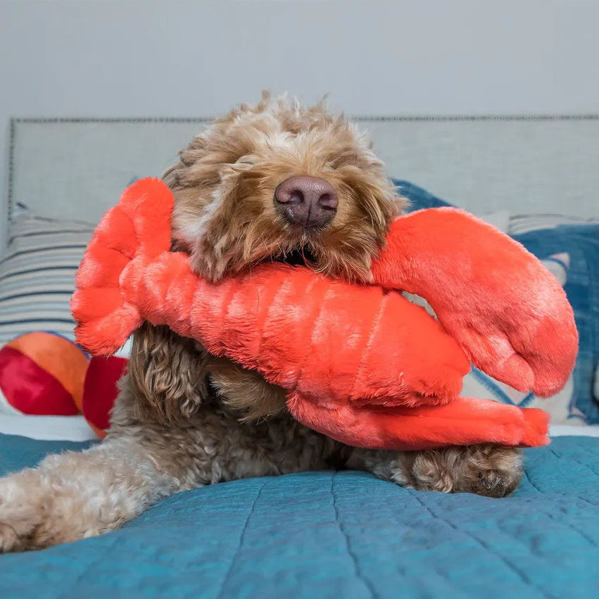 Manny Lobster