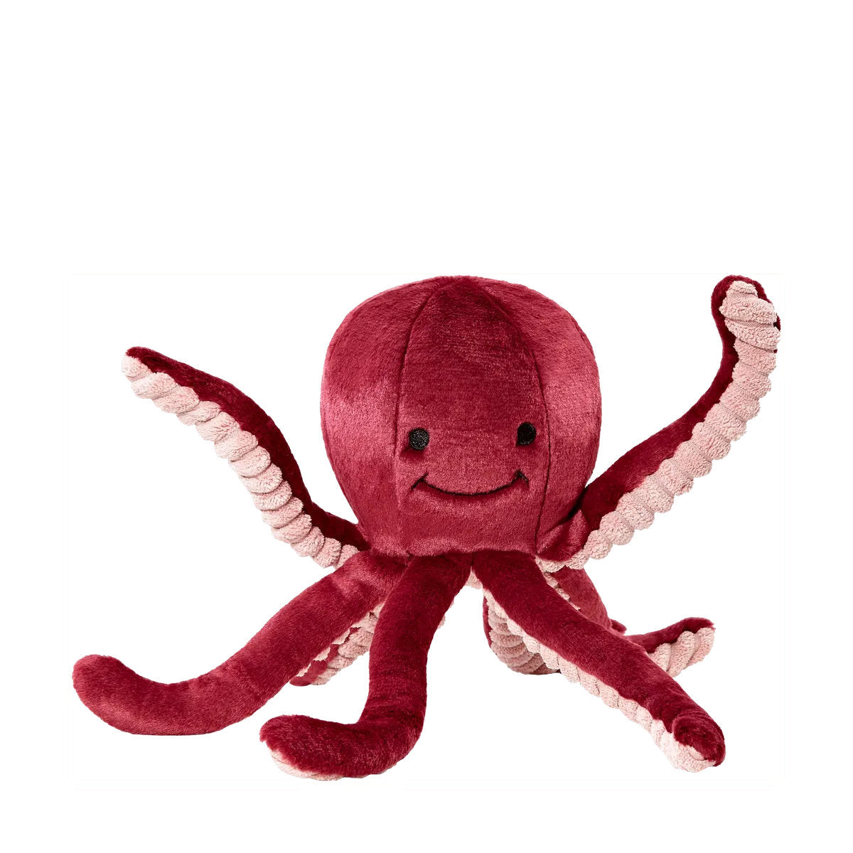 Olympia Octopus