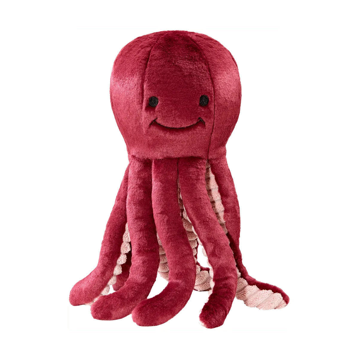 Olympia Octopus