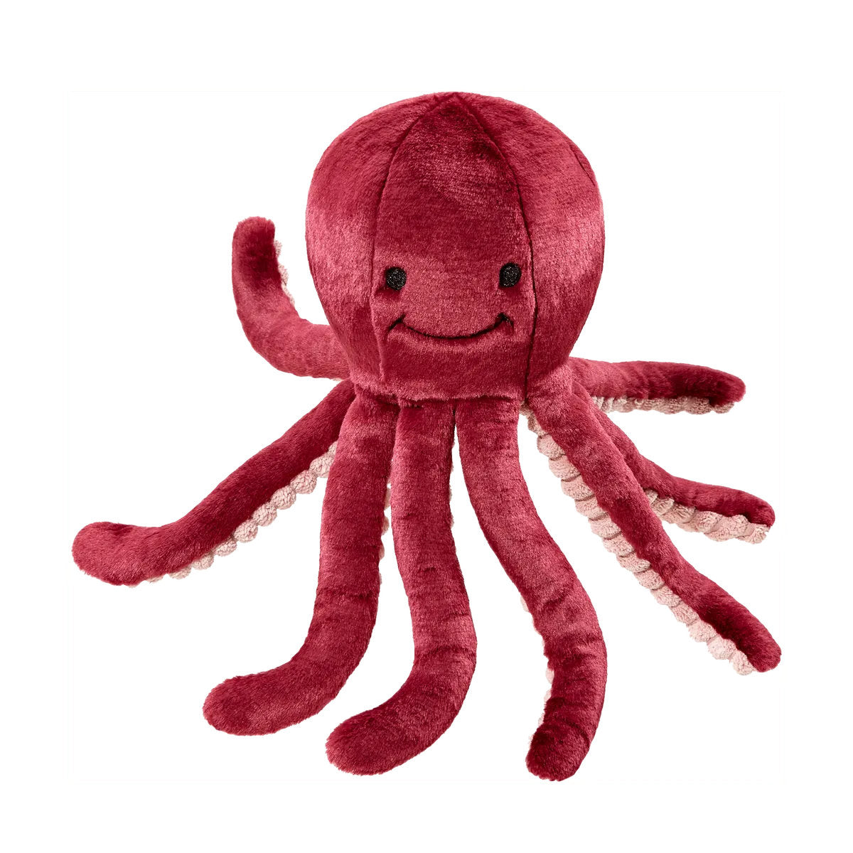 Olympia Octopus
