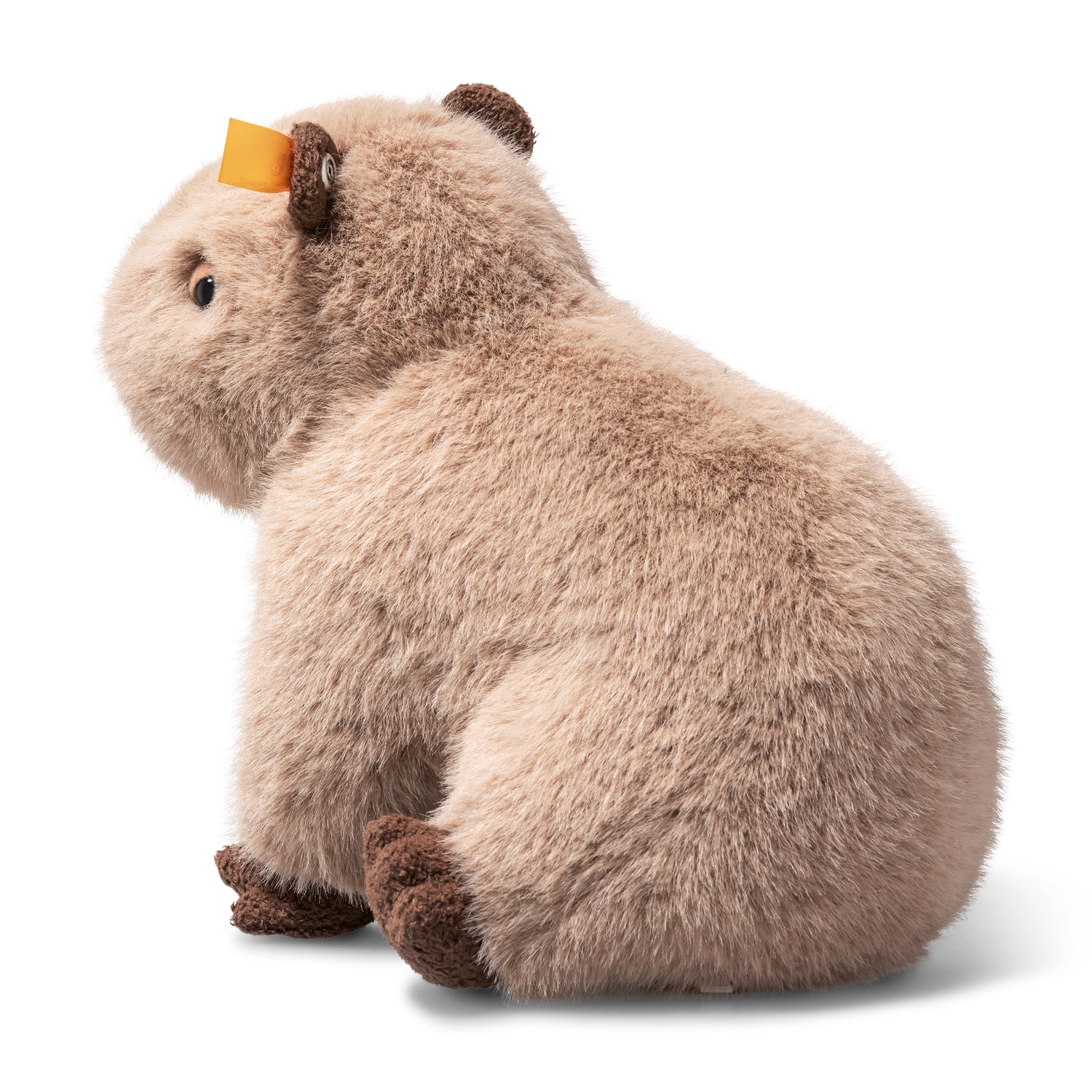 Chip Capybara