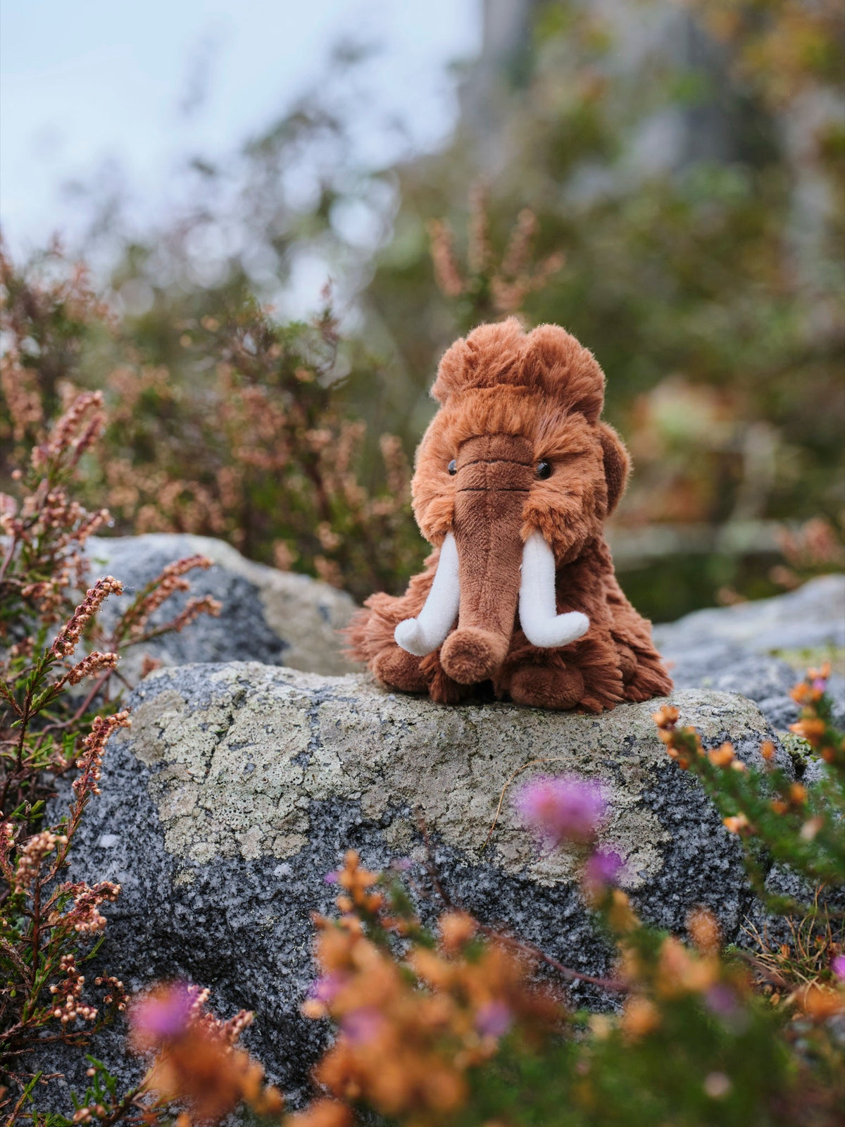 Cuddle Cub Woolly Mammoth among heather