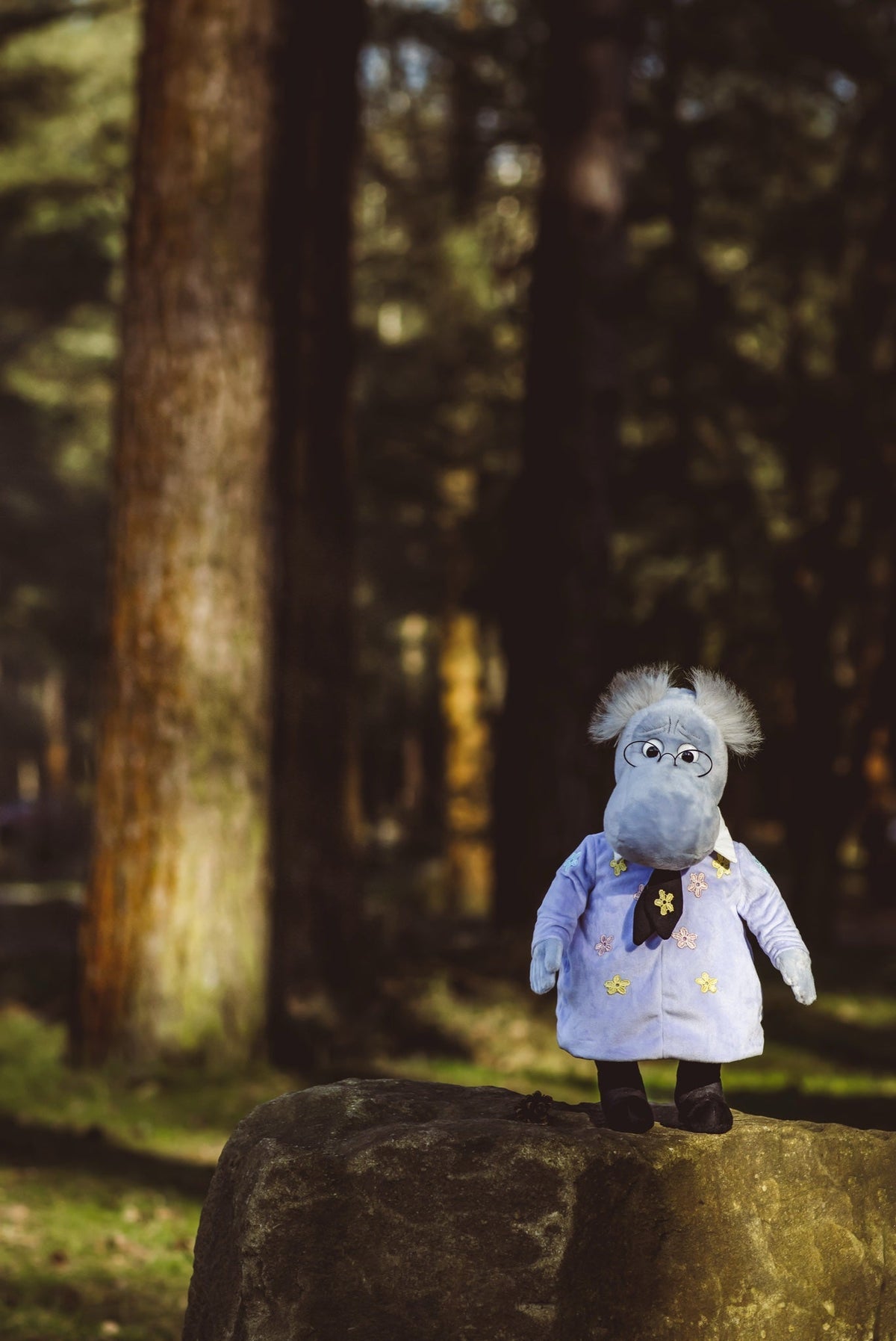 The Hemulen standing on a mossy rock