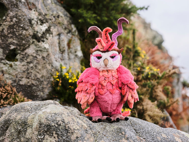 Jinzi perched on coastal rocks