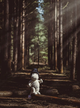 Moominpappa in morning forest light