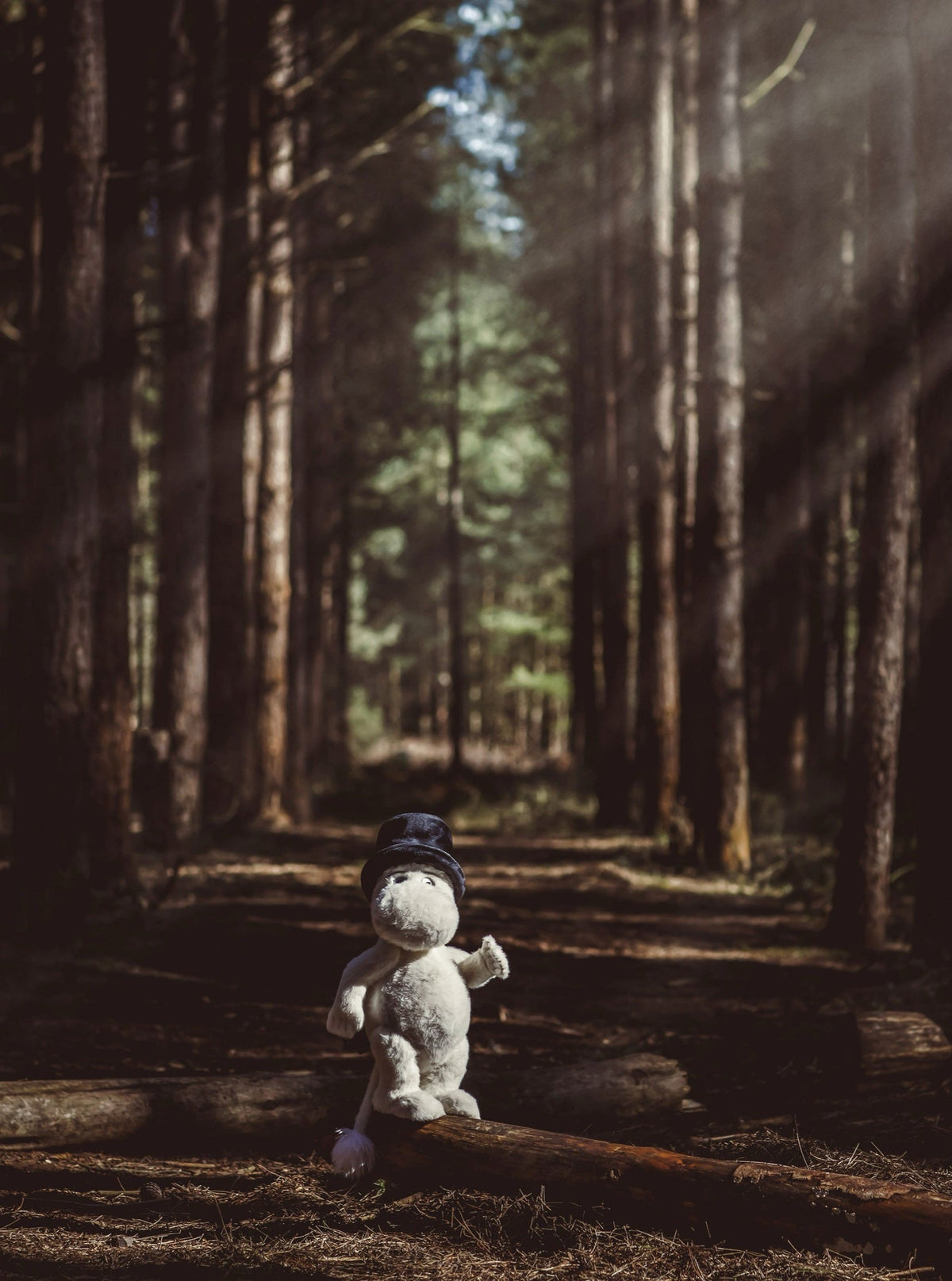 Moominpappa in morning forest light