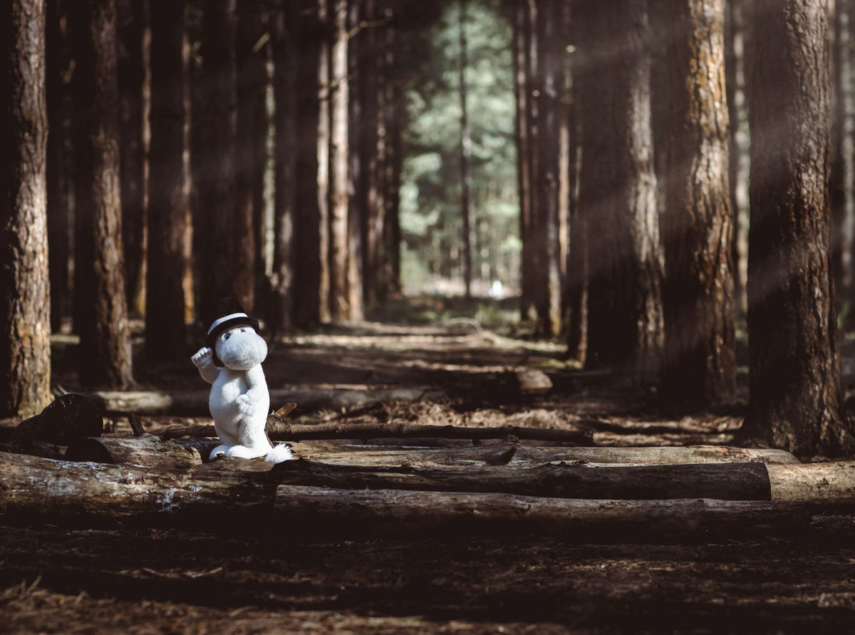 Moominpappa on a forest path