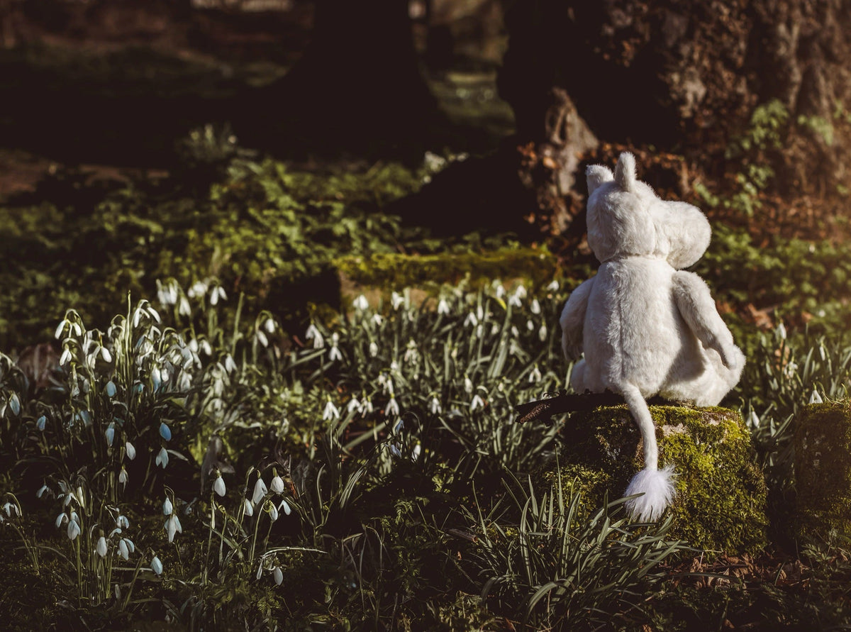 Moomintroll among snowdrops