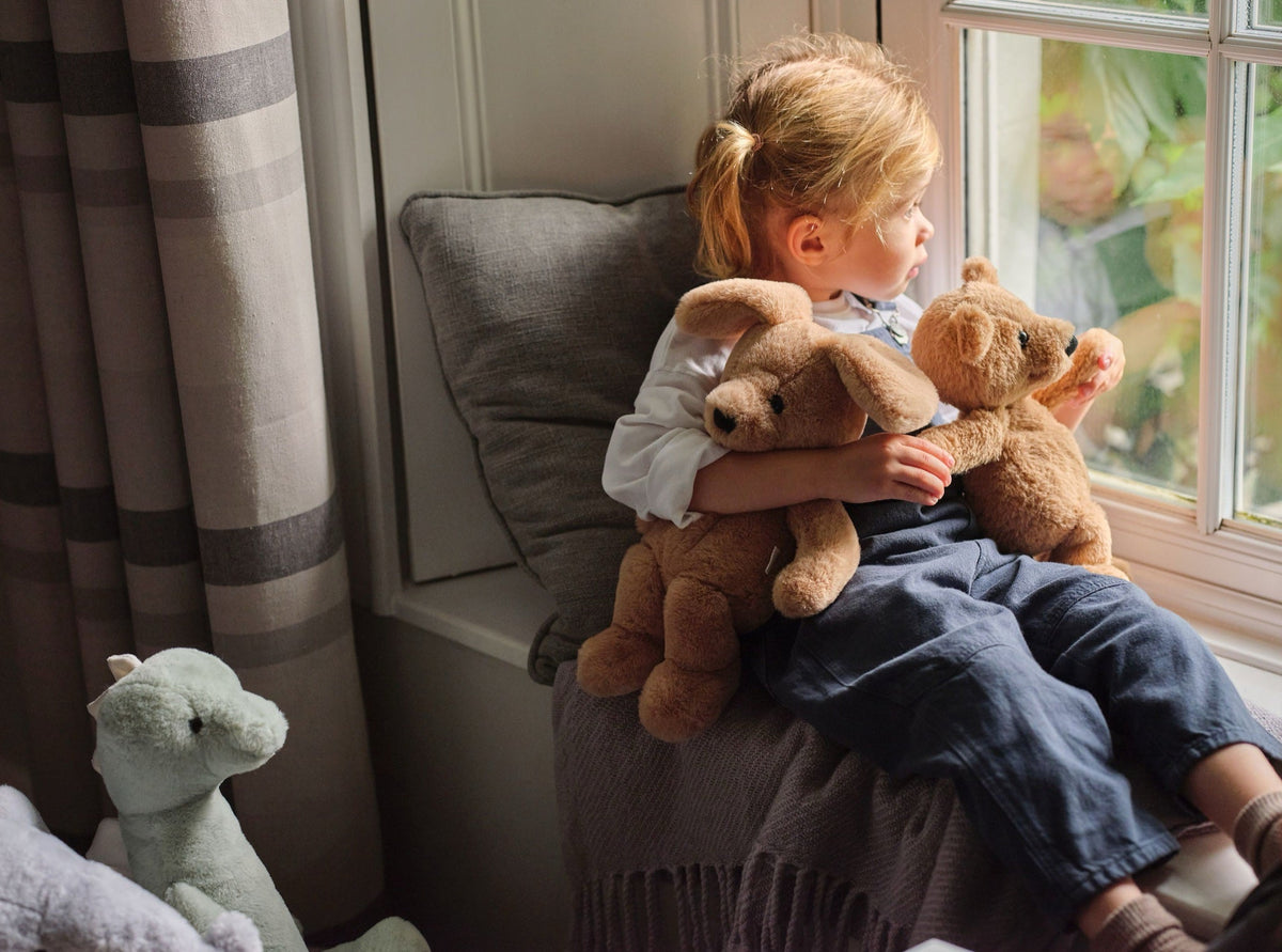 Child at the window with Ruff Puppy and Charlie Bear