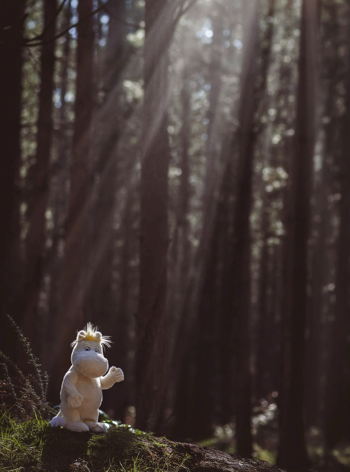 Snorkmaiden in forest sunbeams
