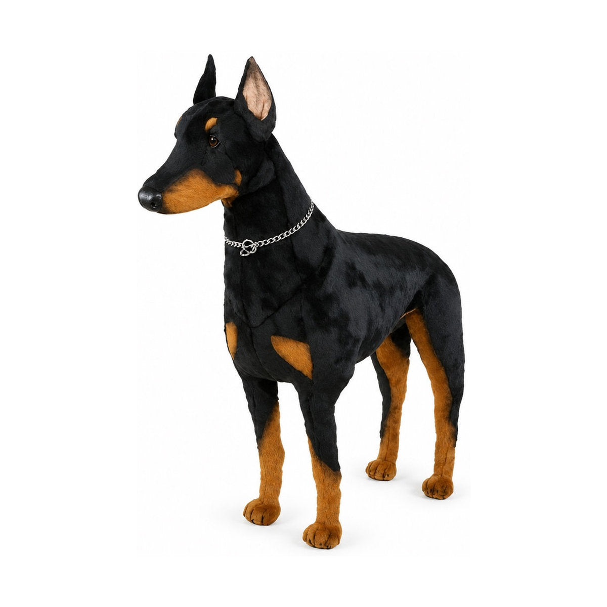 Piutrè Dobermanni