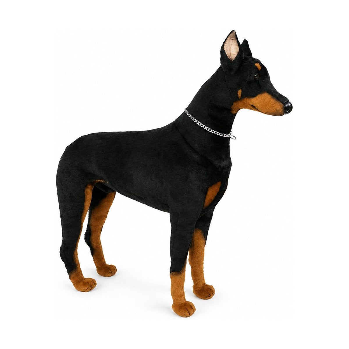 Piutrè Dobermanni