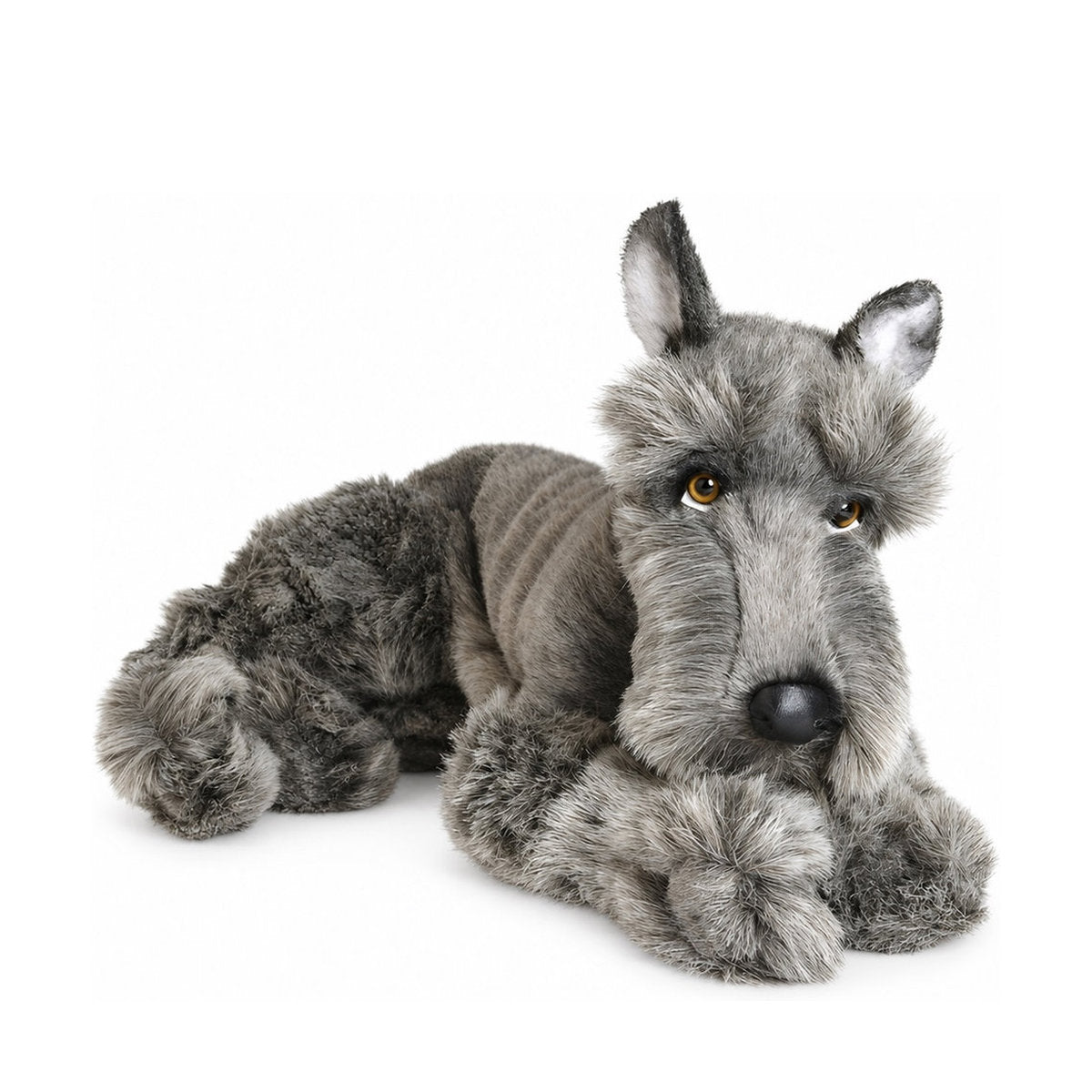 Piutrè Schnauzer