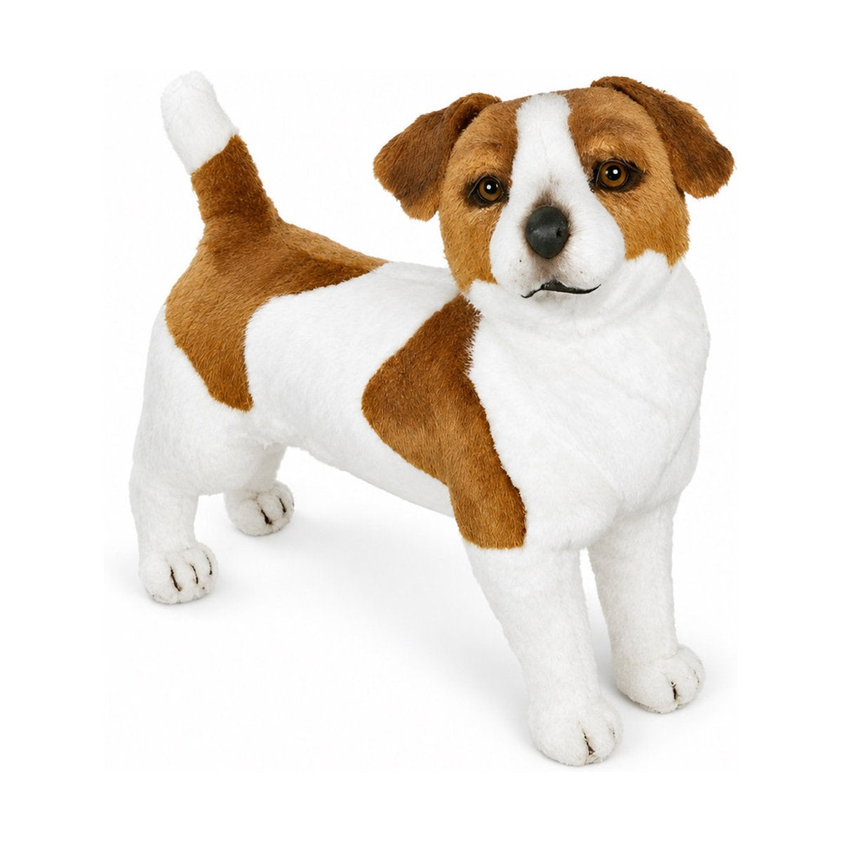 Piutrè Jackrussellinterrieri