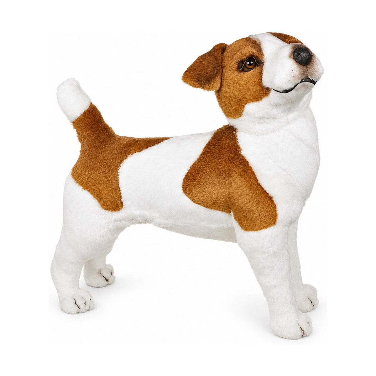 Piutrè Jackrussellinterrieri