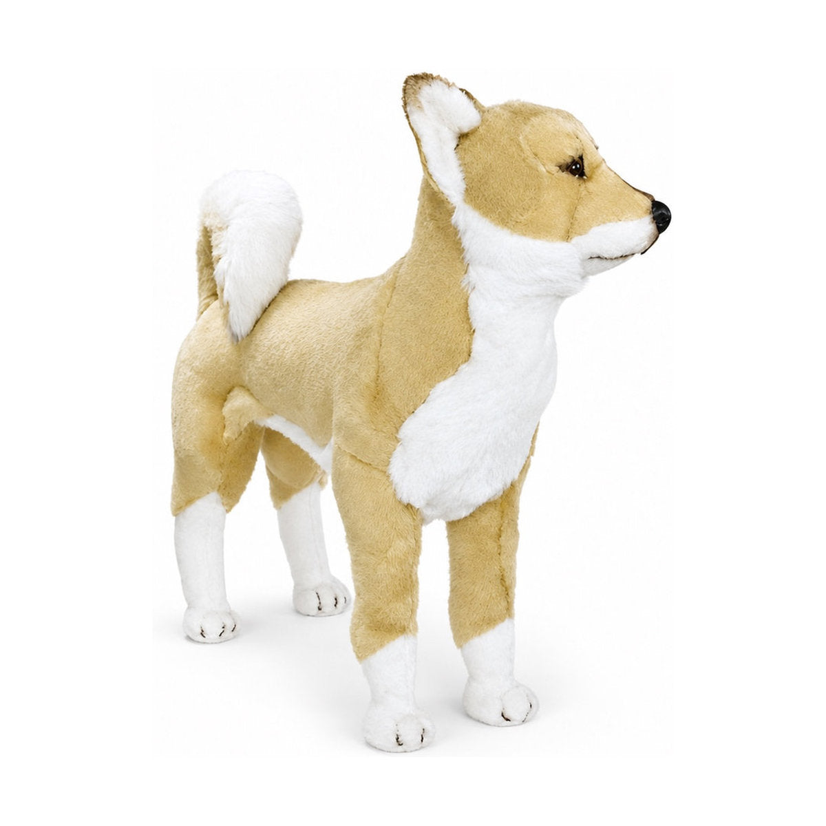 Piutrè Shiba