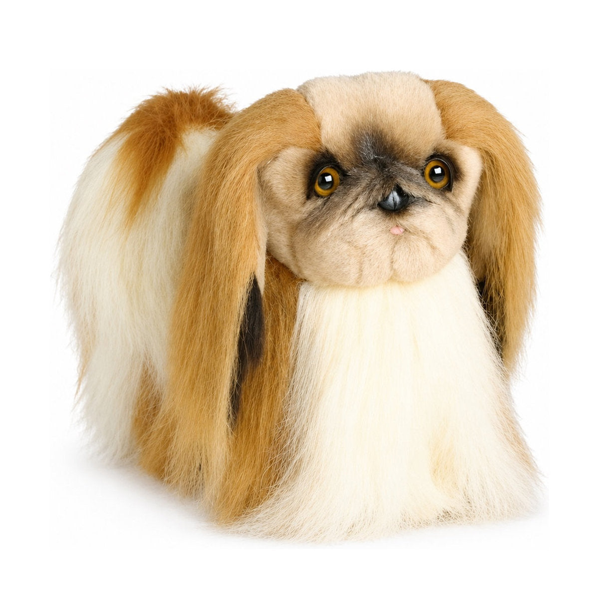 Piutrè Pekingese