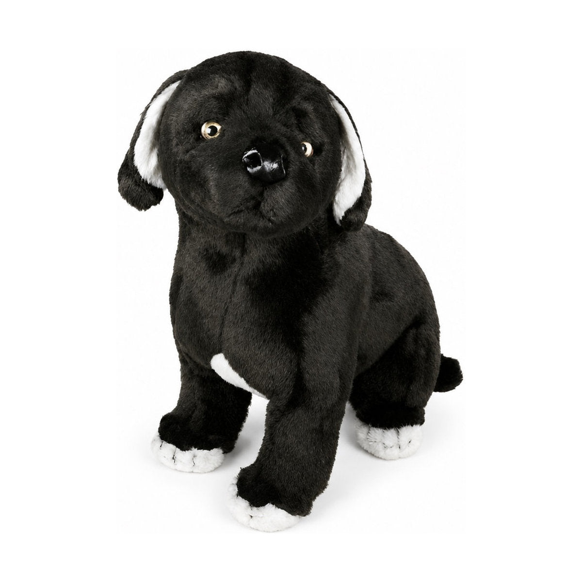Piutrè Napolinmastiffi