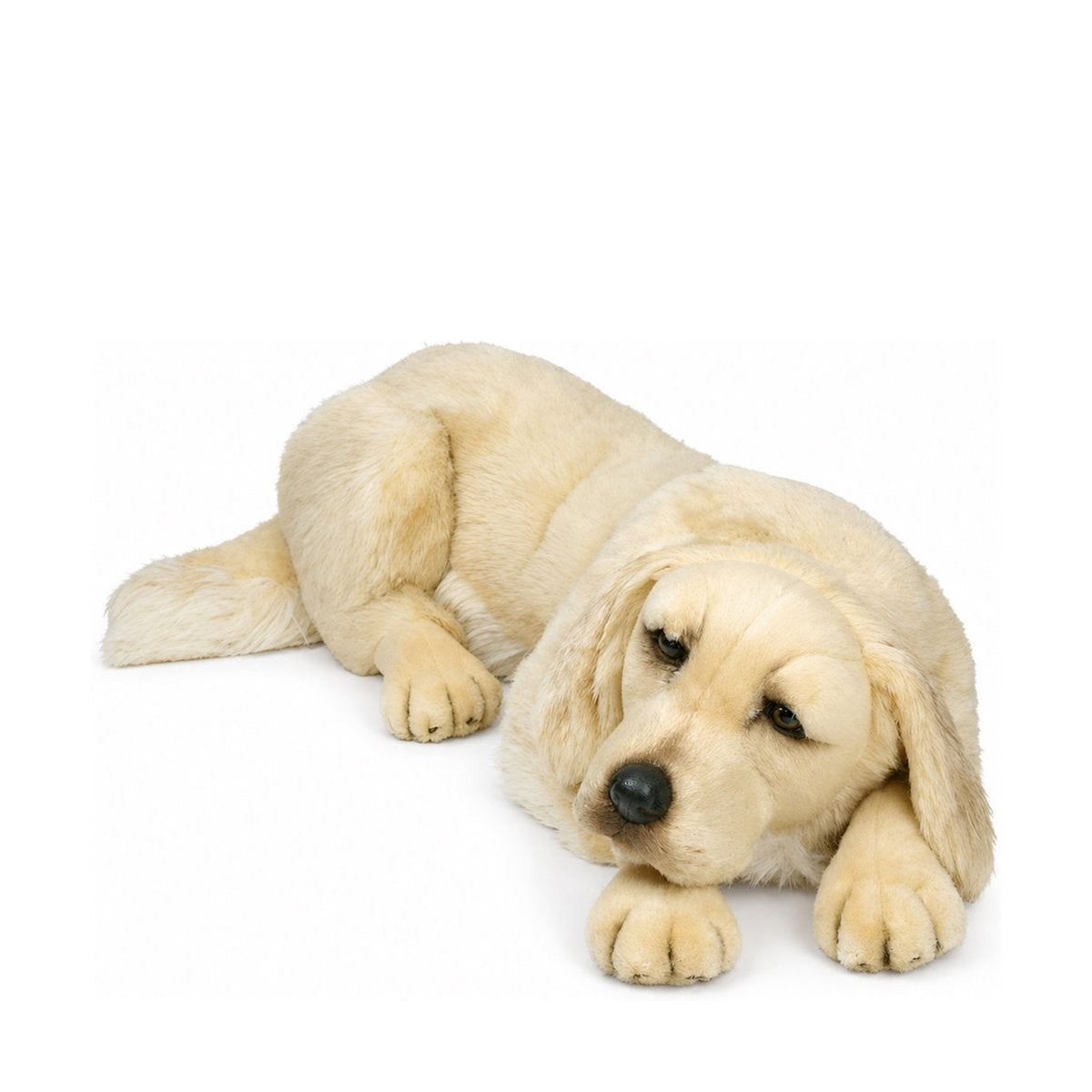 PIUTRE-2202 pose:lying