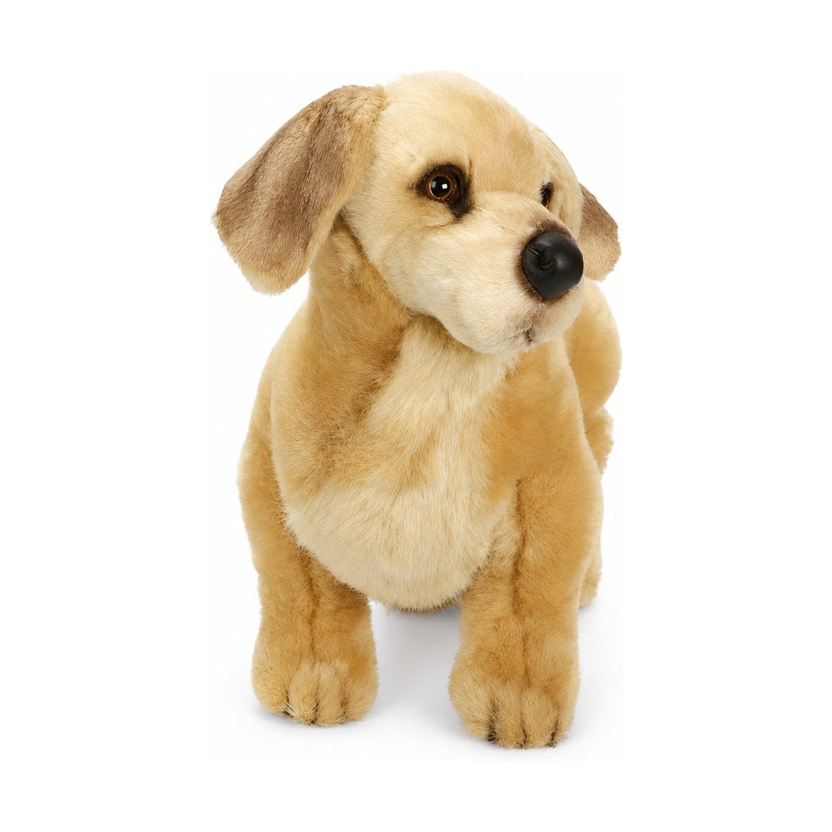 PIUTRE-2203 pose:standing