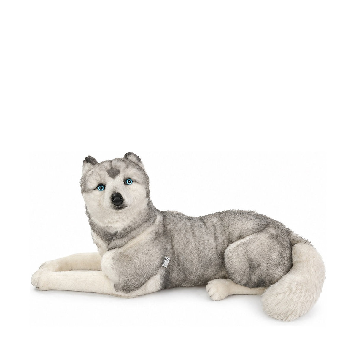 Piutrè Siperianhusky