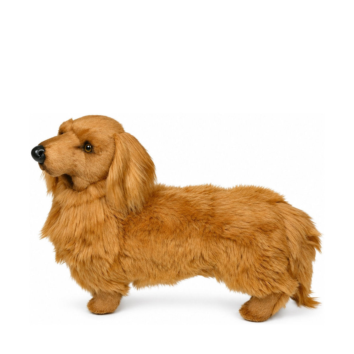 PIUTRE-2251 pose:standing