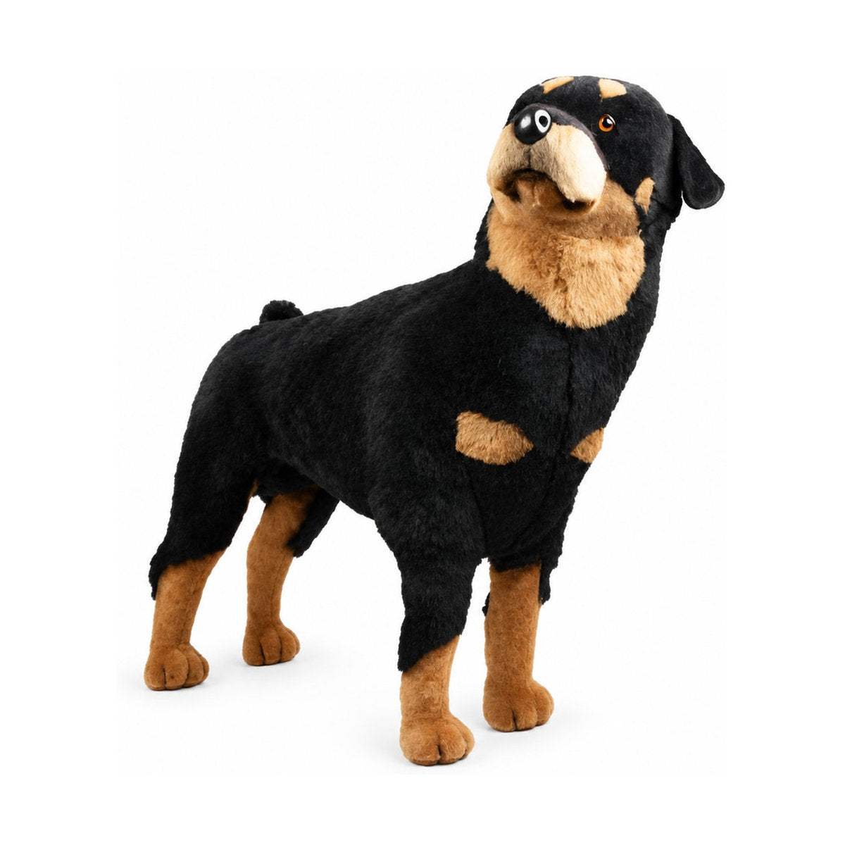 Piutrè Rottweiler