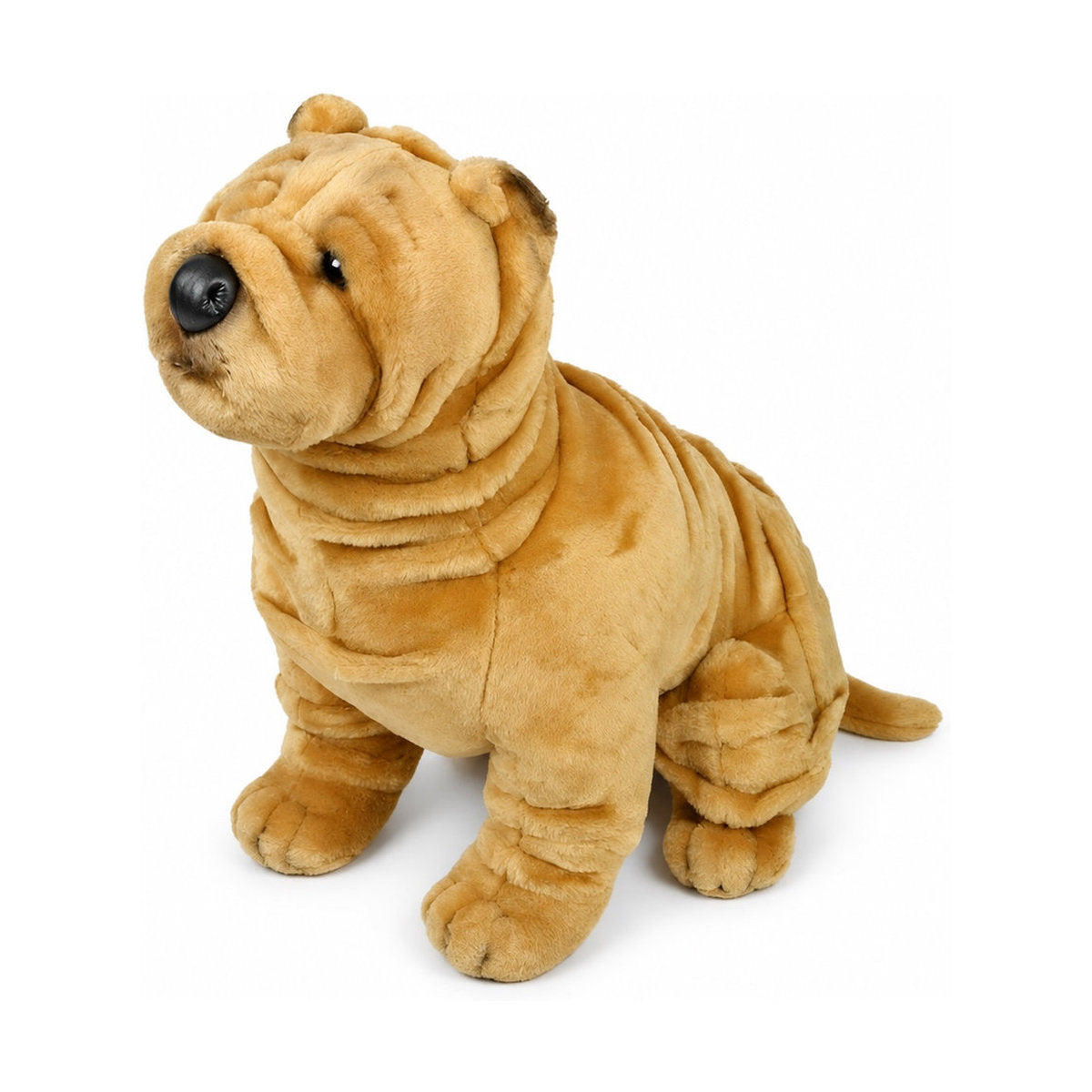 Piutrè Shar pei