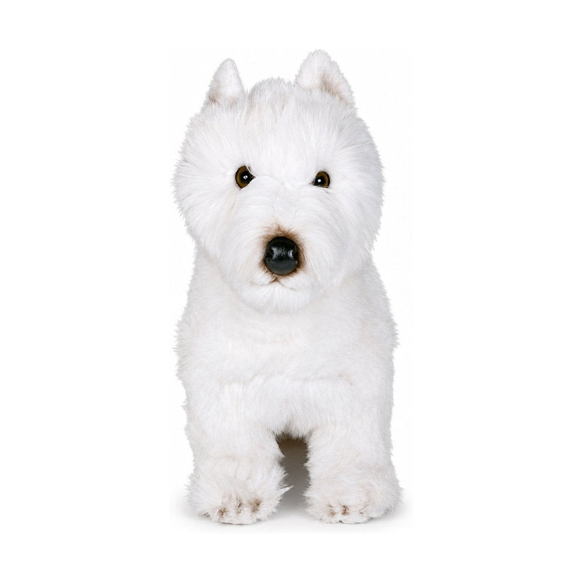 PIUTRE-2275 pose:standing