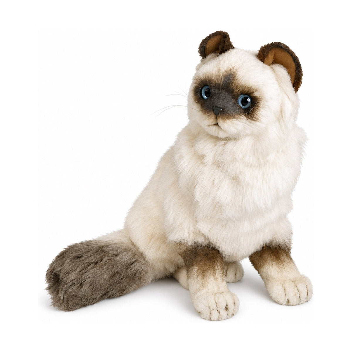 Piutrè Birmankissa