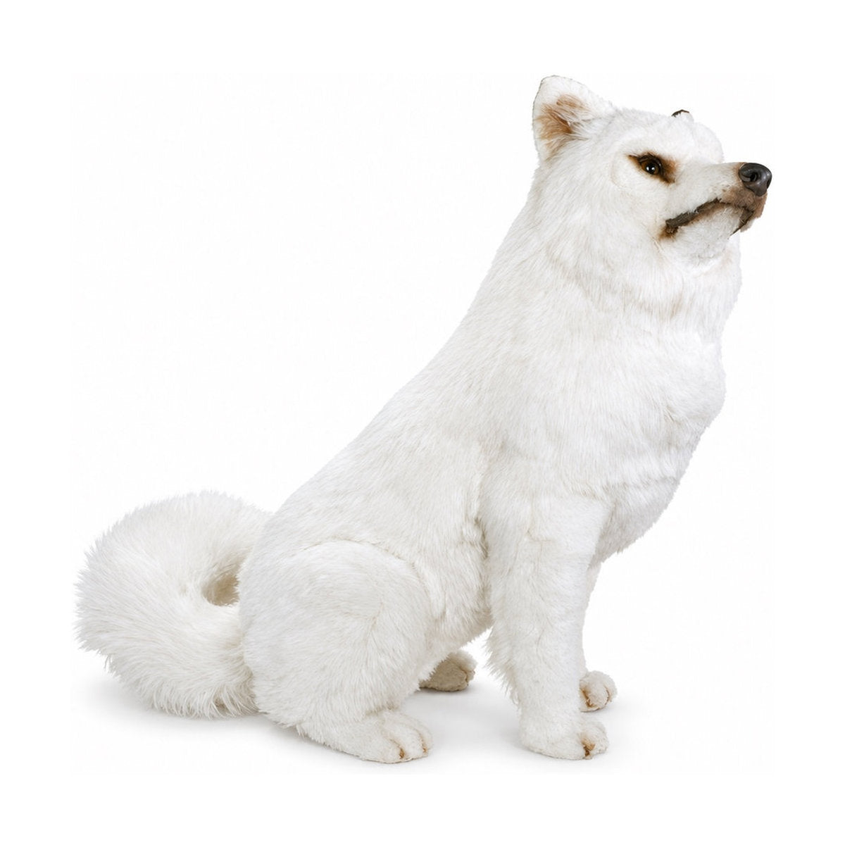 PIUTRE-3257 pose:sitting