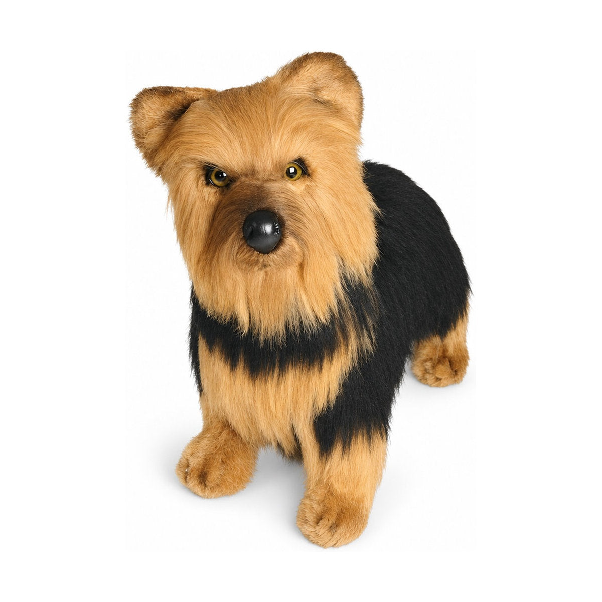 Piutrè Yorkshireterrier