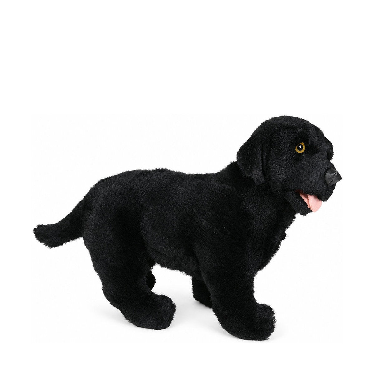 PIUTRE-3338 pose:standing