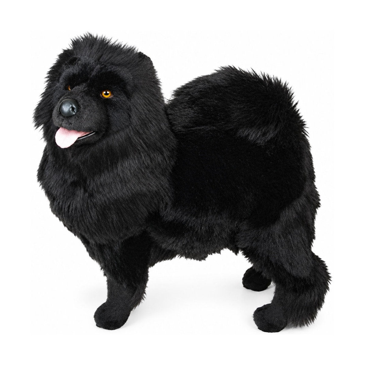 Piutrè Musta chow chow