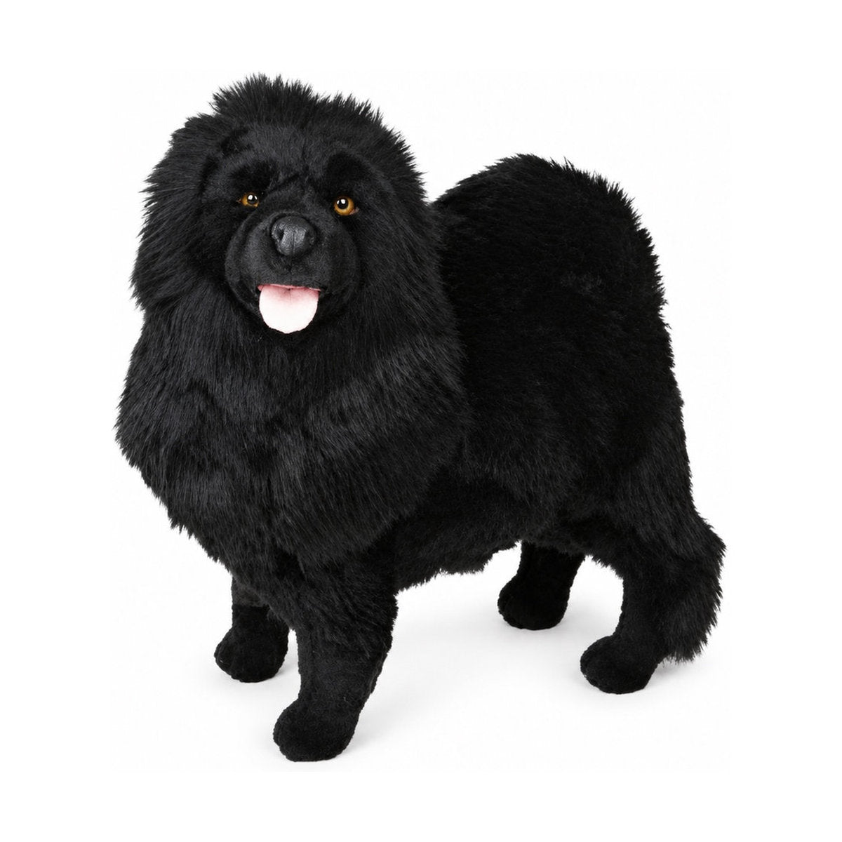 Piutrè Musta chow chow
