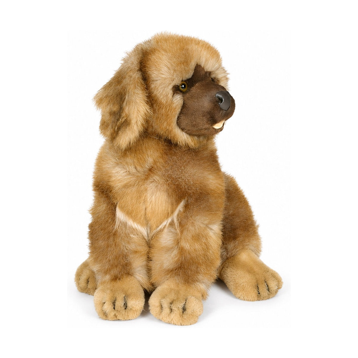 PIUTRE-3363 pose:sitting
